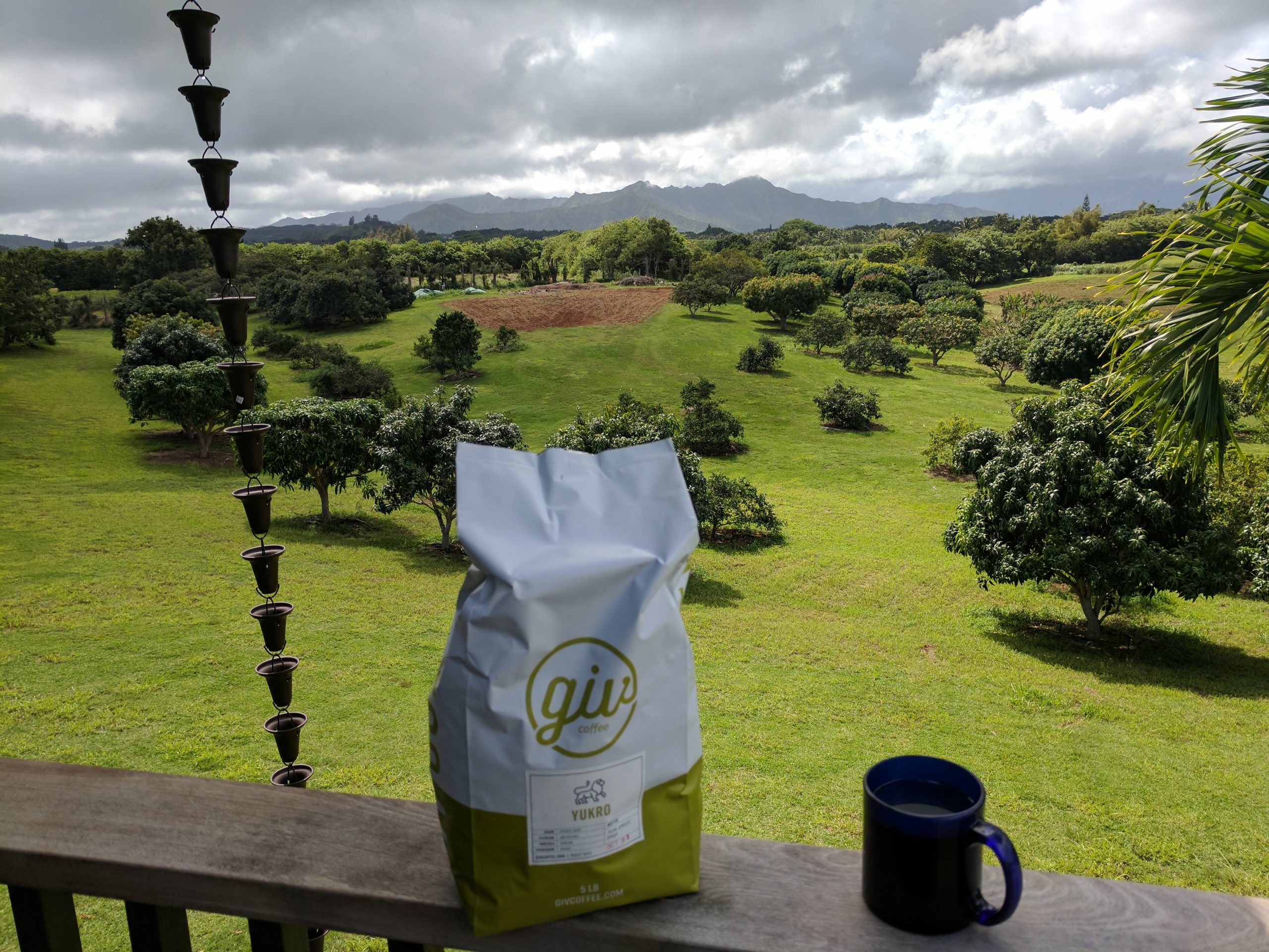 Overlook of Kawaii farm field with Giv coffee in foreground